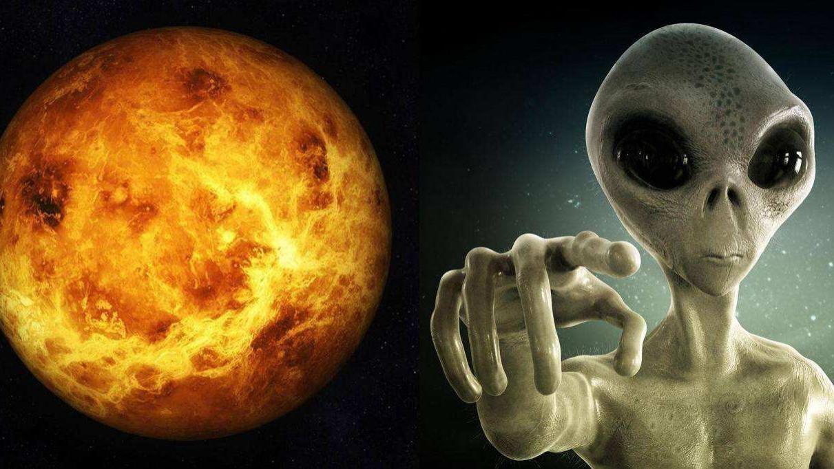 “金星人”降维到地球，讲述人类起源之谜，四种肤色来自四个不同星球？