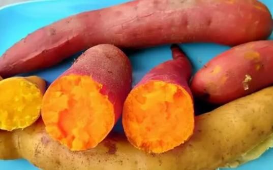 红薯|红薯能消灭98.7%的癌细胞，是真的还是假的？研究结果已公布