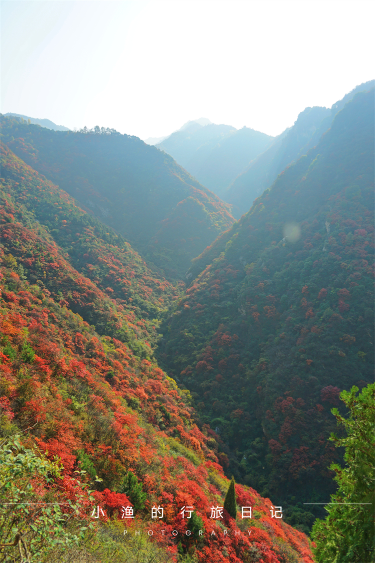 秦岭|别再挤圭峰山了，西安公交可达的秦岭秘境，漫山遍野的红叶太惊艳