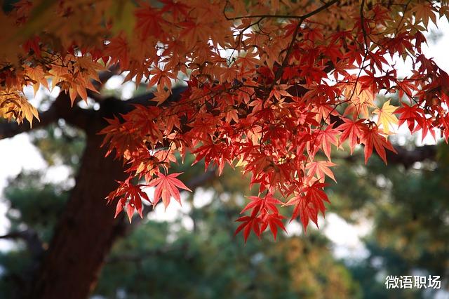 白羊座|细节决定成败：职场人应该坚持的6大好习惯，让你越来越优秀！