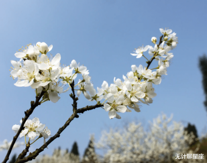 生肖|今年，4个星座，用真诚换真心，以宽容换好运，人缘好朋友多