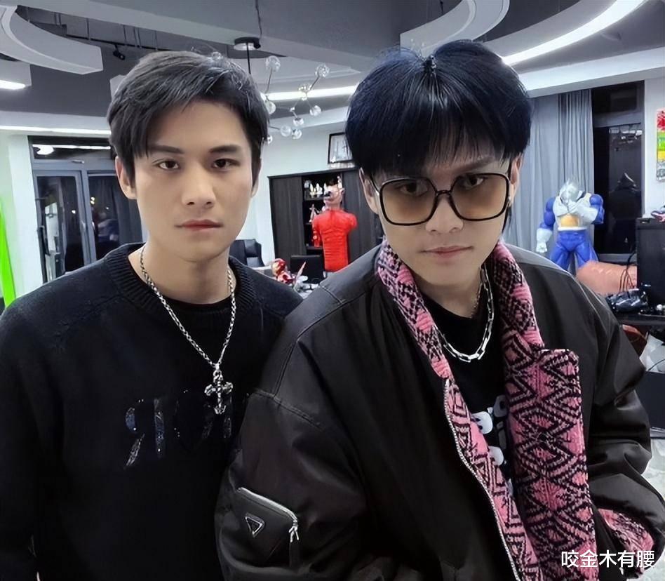 演唱会|频频拿老爹黑料开涮，杨家两兄弟的这场公关，我实在打不出及格分