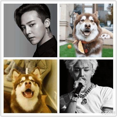 王思聪|王思聪让权志龙滚回韩国吧!到底发生了什么