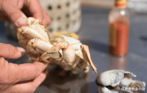 露营|乍浦捉螃蟹的地方在哪里?在这赶海、看景、尝海鲜,不亦乐乎?