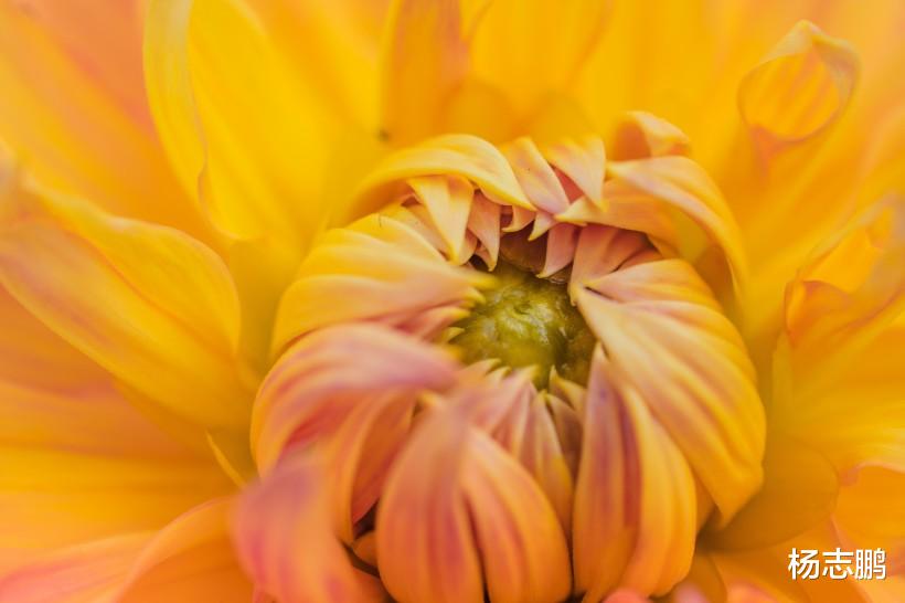 天蝎座|这些星座最容易因为什么原因对你厌倦?有的追求完美