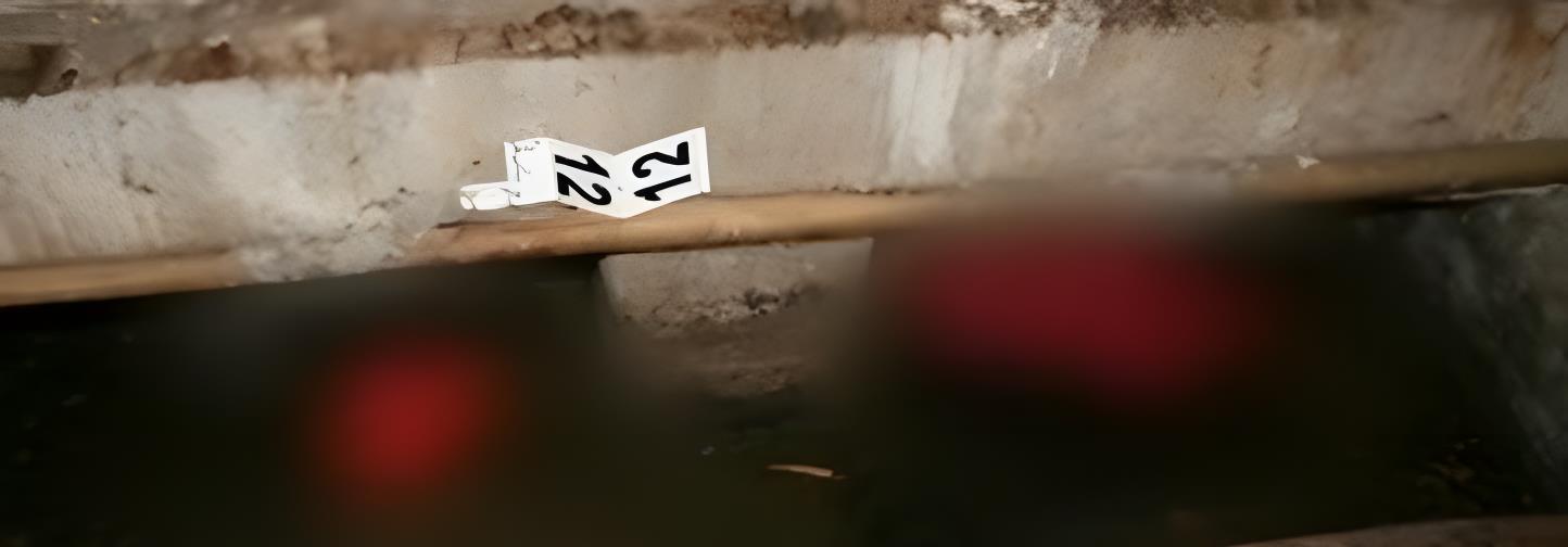 2012年,领证当天未婚妻“粪坑溺死”?真凶身份反转!不可思议