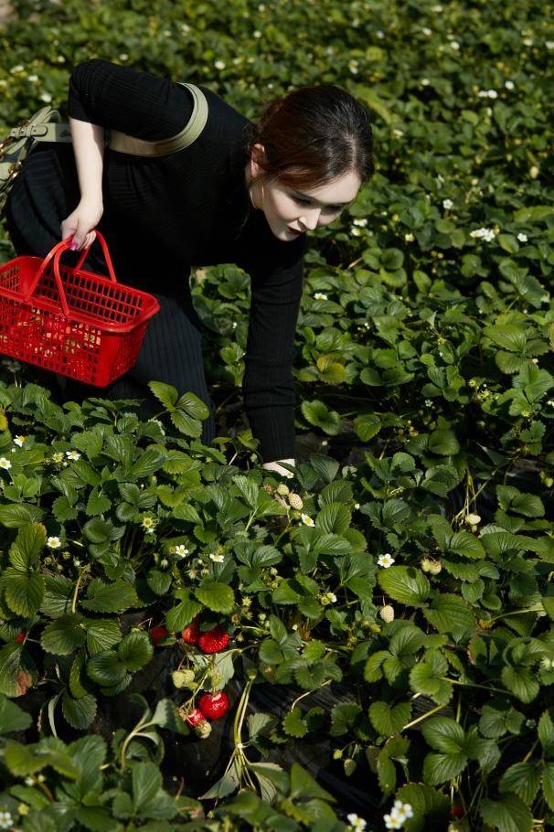 刘竞|阳春三月踏青时节 刘竞宛若置身绿野仙境