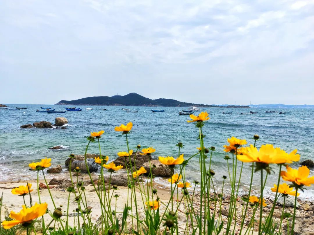 威海|威海景点丨海源公园