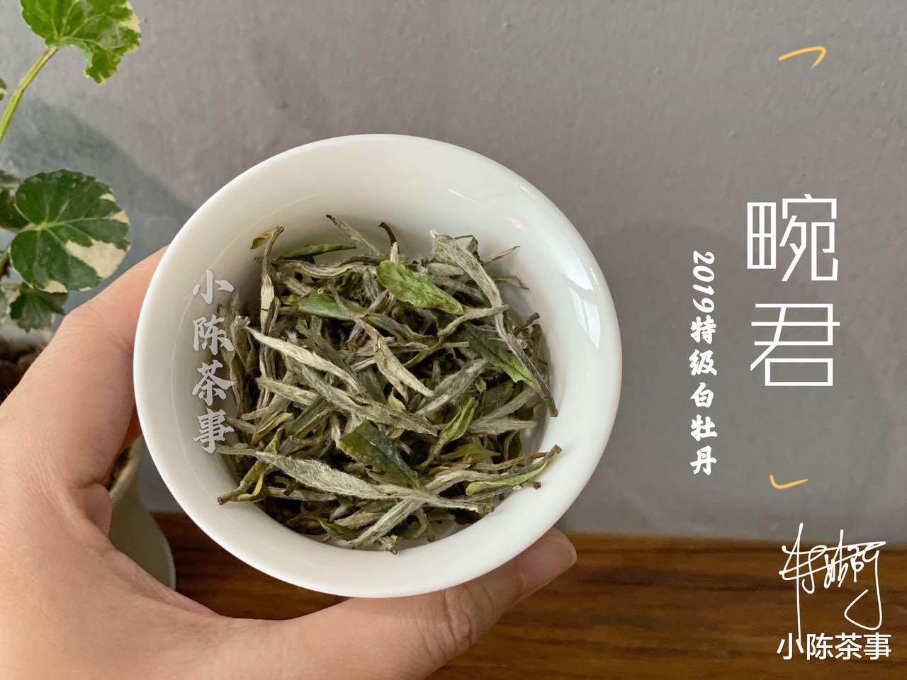存了3年，药香、枣香啥也没有，这样的老白茶到底哪里出了问题？