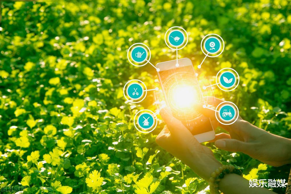 痢疾|买醋到底怎么挑？醋里真有很多营养吗？