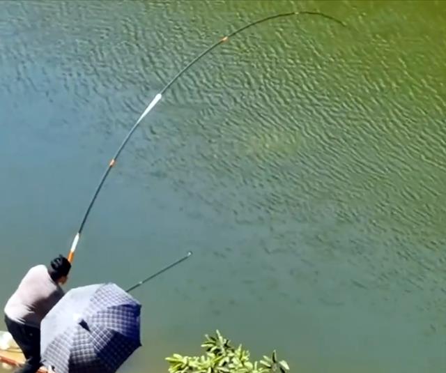 |男子钓获50斤的大鱼稳稳地坐着遛,围观者的反应亮了,网友:放生
