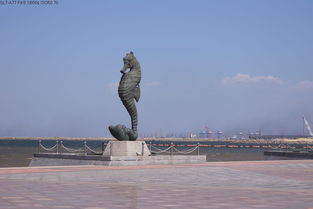 昆明机场|鲅鱼圈一个环渤海的城市,来到鲅鱼圈看海是一个也是不错的选择