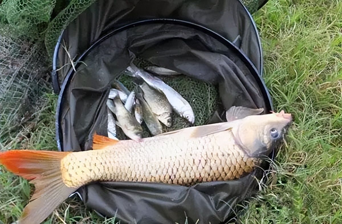 |钓鱼时发生的些诡异的事你遇到过没有？