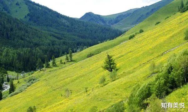 旅行|这才是未来俩月最值得去的11个地方，初夏第一场旅行你想去哪儿？