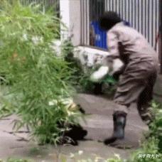 住博会|“老公车里发现的,我该怎么办?”离了吧