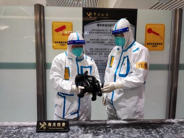 通体全黑!武汉海关查获濒危物种制品