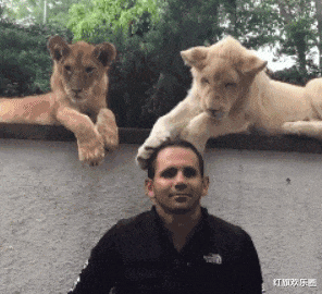 芹菜 “理发师给我吹完发型的我,和自己吹头发的我,我人傻了好吗”上当了