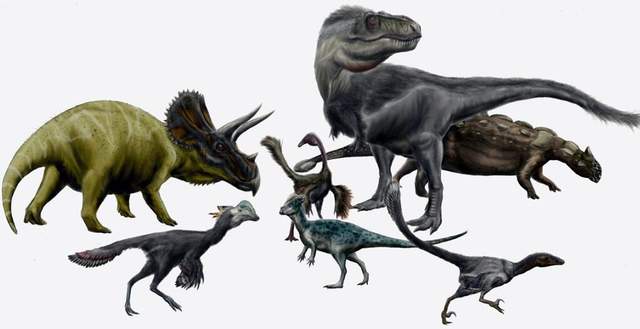 恐龙没有全部灭绝，仍然生活在地球上，在人类身边随处可见