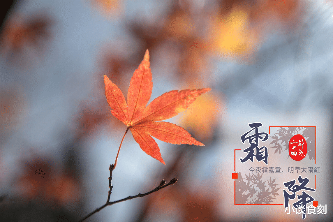 霜降|“一年补透透,不如补霜降”,10月23日霜降,如何进补?建议了解