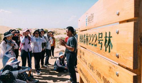 电子商务|蚂蚁森林承诺每年在沙漠里种树?如今6年过去了,结局却成这样