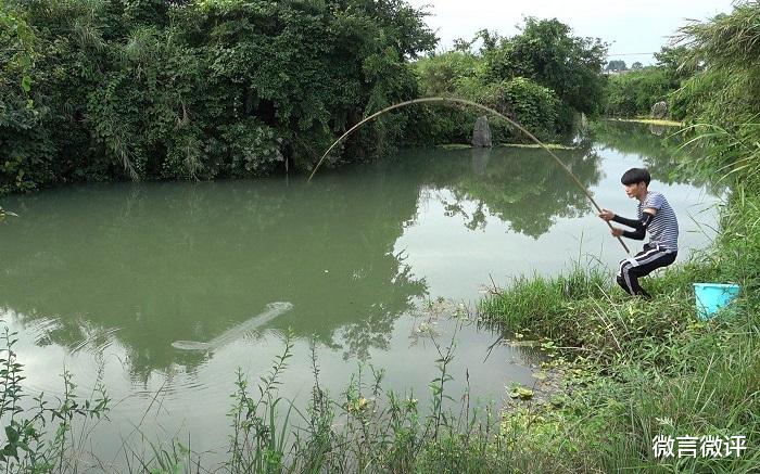 饵料|好好的钓鱼,结果却钓了一肚子的气,以后别再玩了