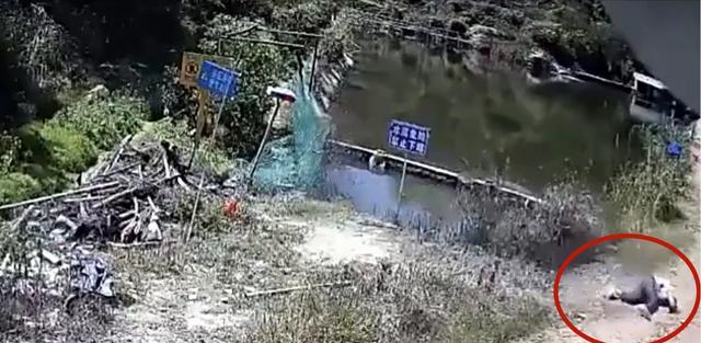 男子野钓鱼竿意外触碰高压线,两秒钟被电倒,监控记录下整个过程