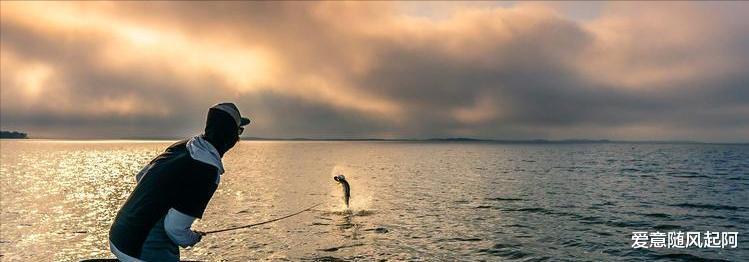 |用命在钓鱼！大爷利用桥边护栏搭建悬空钓台，隔着屏幕都心惊胆战