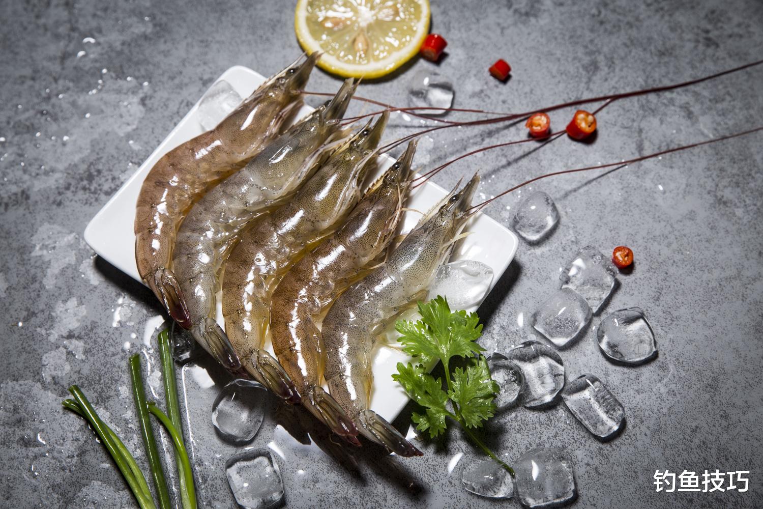 |钓鱼大赛惹争议，使用冻干虾饵是否违规？详解液氮锁鲜技术