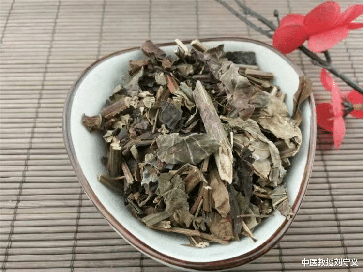 |抗癌良药——石见穿，功效活血化瘀、清热利湿如“水滴石穿”一般