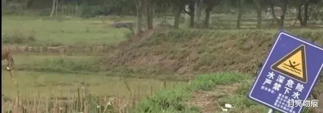案例:老人追赶偷鱼男子时,双双掉进鱼塘致男子死亡,二审无罪