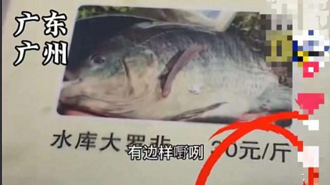 广东广州，男子请朋友吃家常饭，付款时竟要1700元，男子觉得贵得离谱
