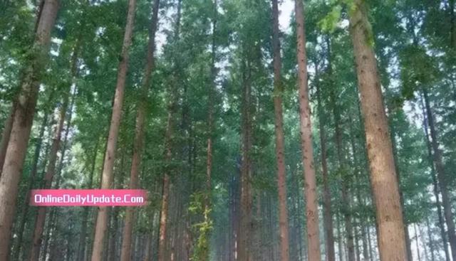 身家300亿小学没毕业出来打工 21岁赚1000块白手起家