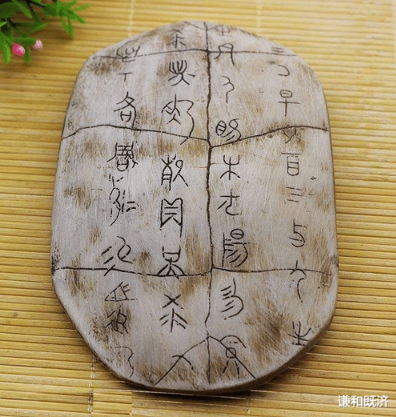 天圆地方之乌龟壳,这是一个行走的小宇宙,以及五花八门的养生学