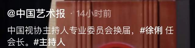 徐俐|众多央视名嘴齐聚!61岁徐俐升职成会长,剪超短发气质大变认不出