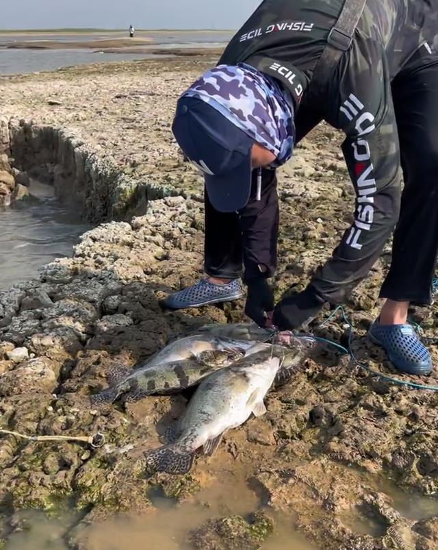 |实拍长江钓鱼人:密集如蚁群,有人开心爆钓,有人担忧越越钓越少