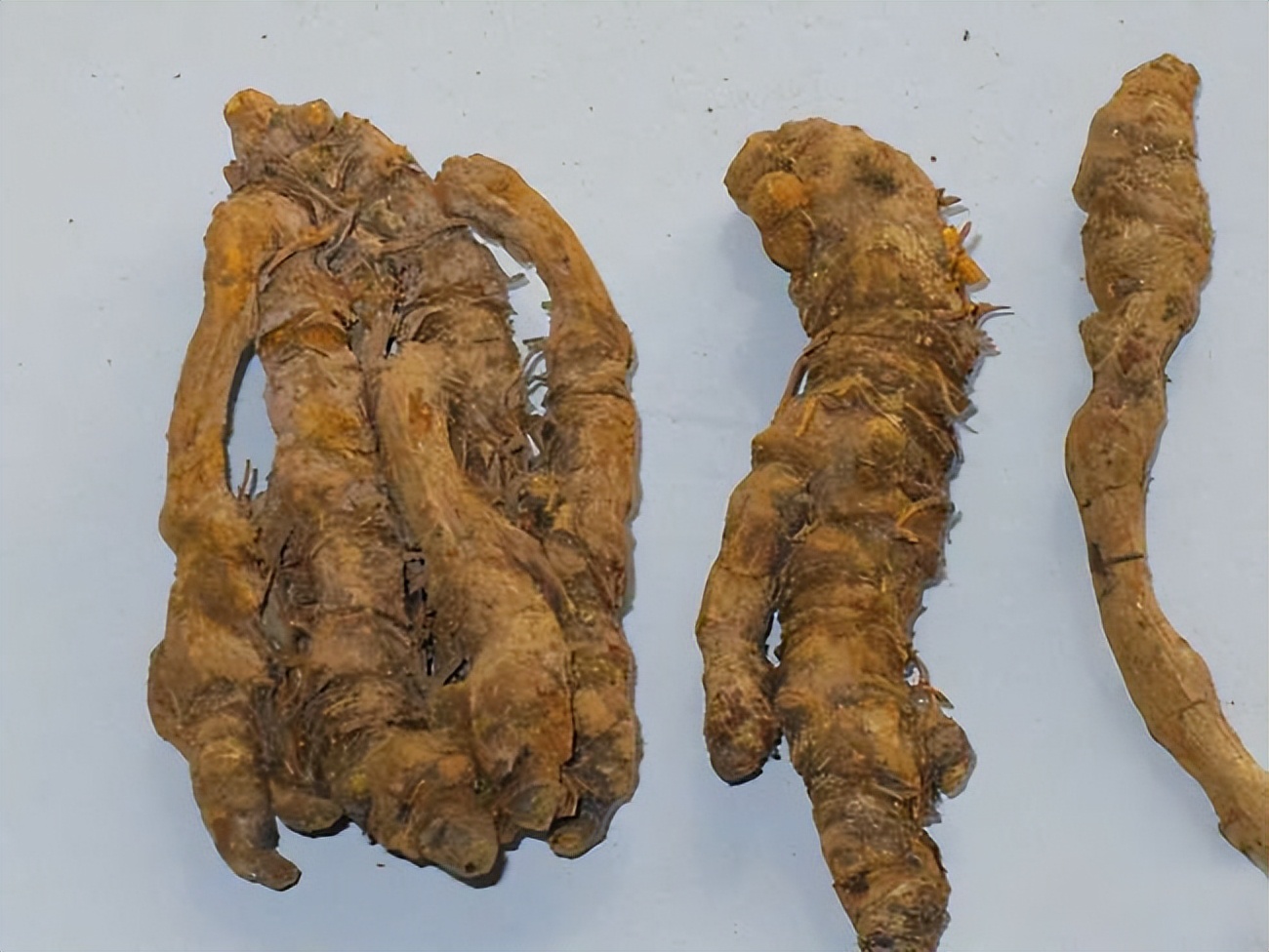 医生|一个明代流传下来的古方，清火安神，让你告别难眠，安然入睡！