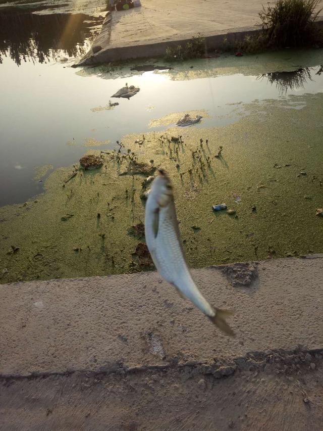 |那些年自制的钓鱼小玩意,虽然钓鱼不多但是贵在捣鼓,男人的乐趣