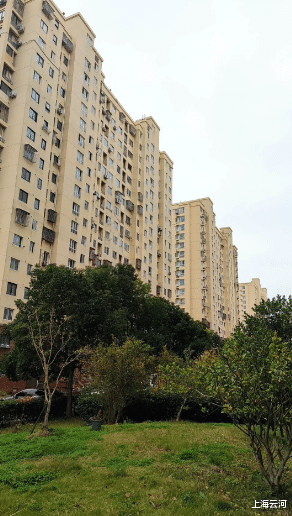 |这是他们的营生，他们的生计