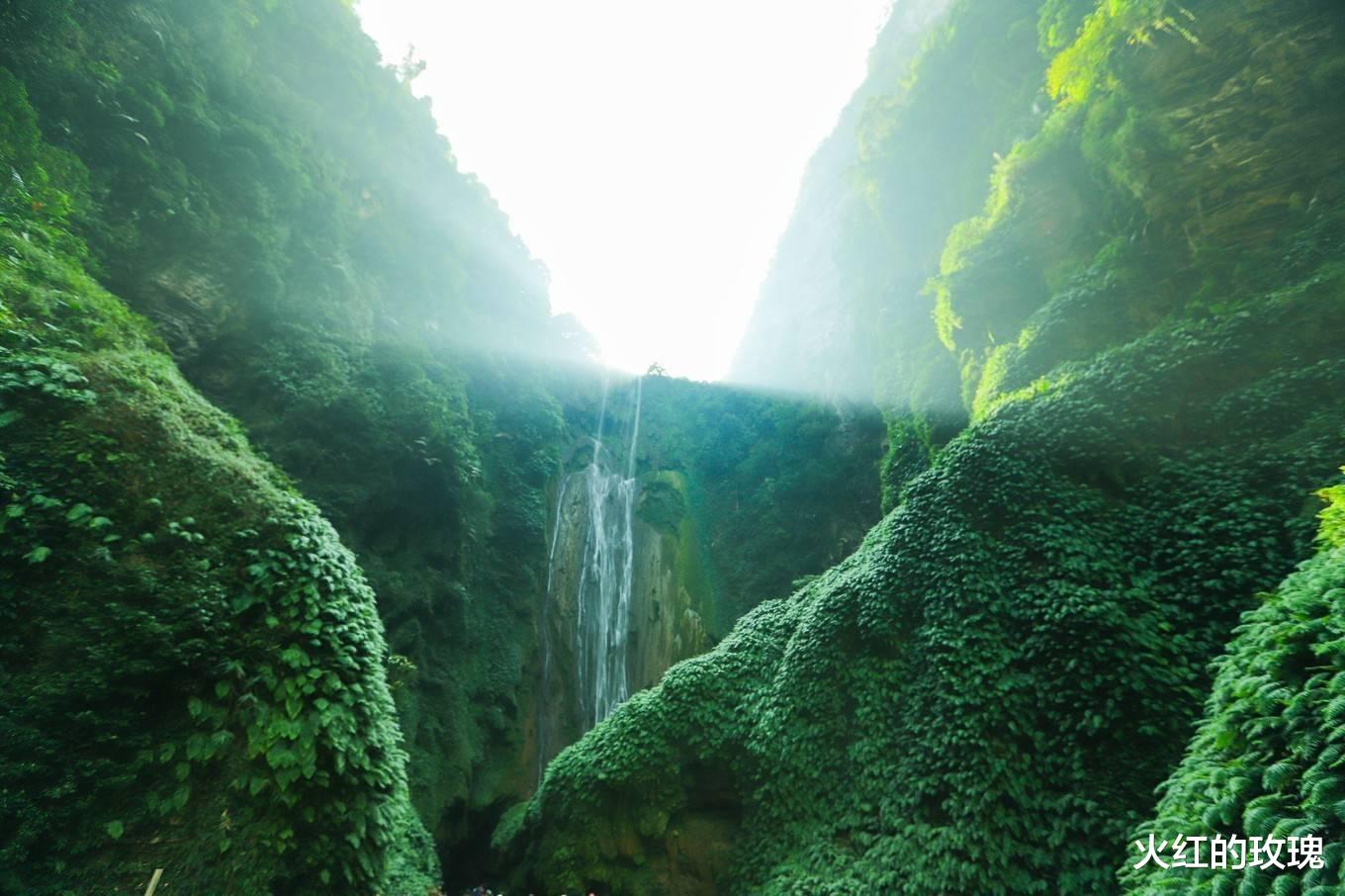 通灵大峡谷|地球上最绿的瀑布,还是植物的王国,在广西你去过吗