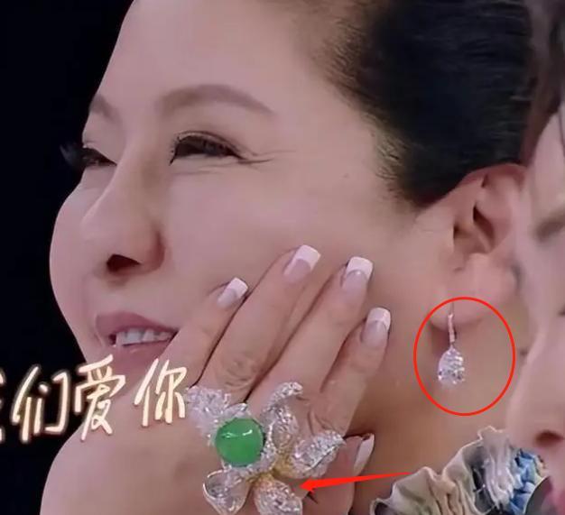 风味人间4|向华强股份向太遗产全都给孙子，向佐分文没有，郭碧婷这辈子稳了