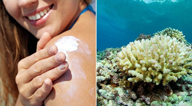 度假区|为什么瑞士禁止10点以后冲马桶?遇上内急咋办?你可以这样解决