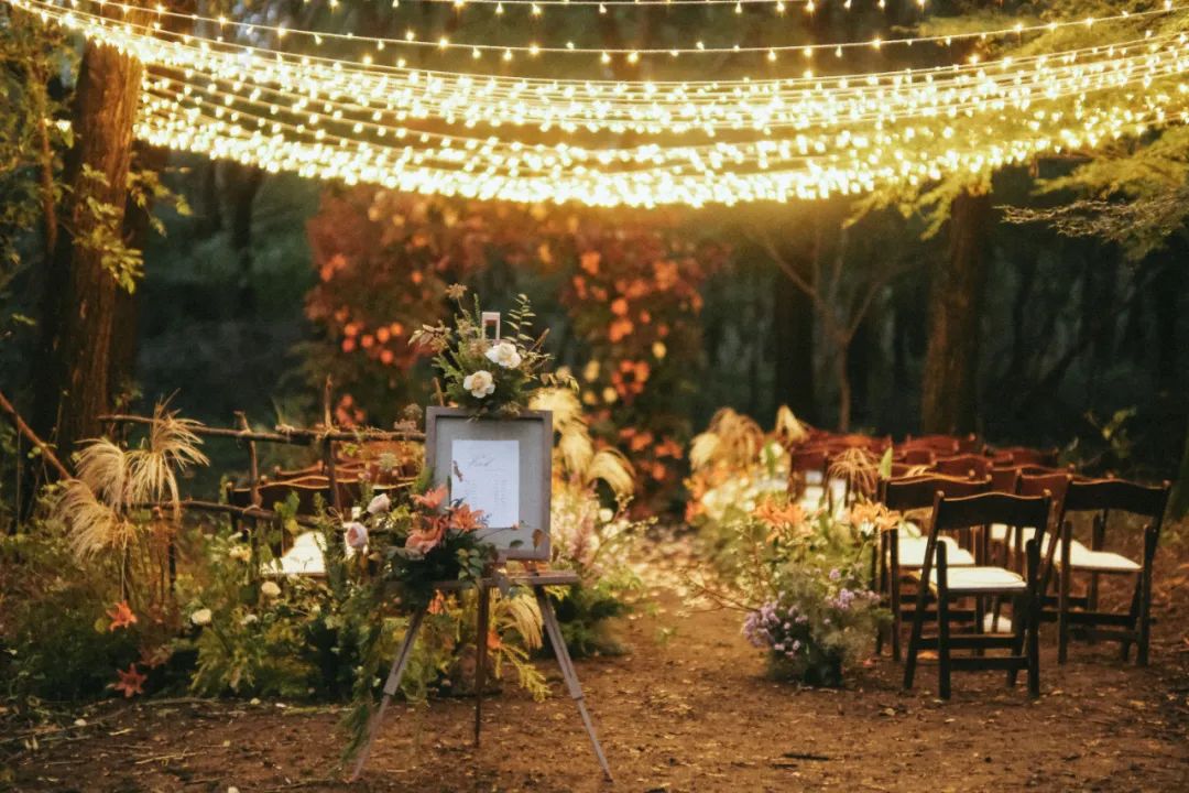 职场故事|告别职场焦虑，她逃到农场拍野花；3年拍了上千张，把爱好修成主业