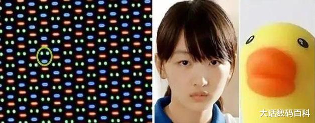 京东方|科普:从“京东方”到“周冬雨排列”