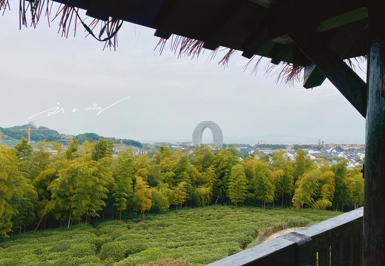 旅游业|浙江位于华东地区,是我国经济最发达的省份之一,你去旅游过吗?