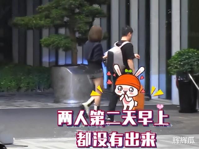 陈思诚|陈思诚新恋情曝光,对方年轻貌美不输佟丽娅