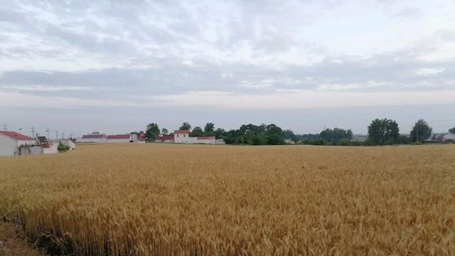 物价|2022年可能面临四大困境!就业难,赚钱更难