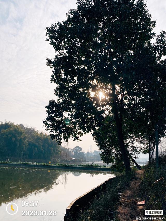 |双竿齐下钓食材,做一名合格的野钓达人