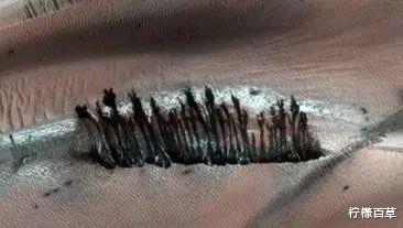 UFO惨遭打击:NASA故意掩盖火星上有树的事实