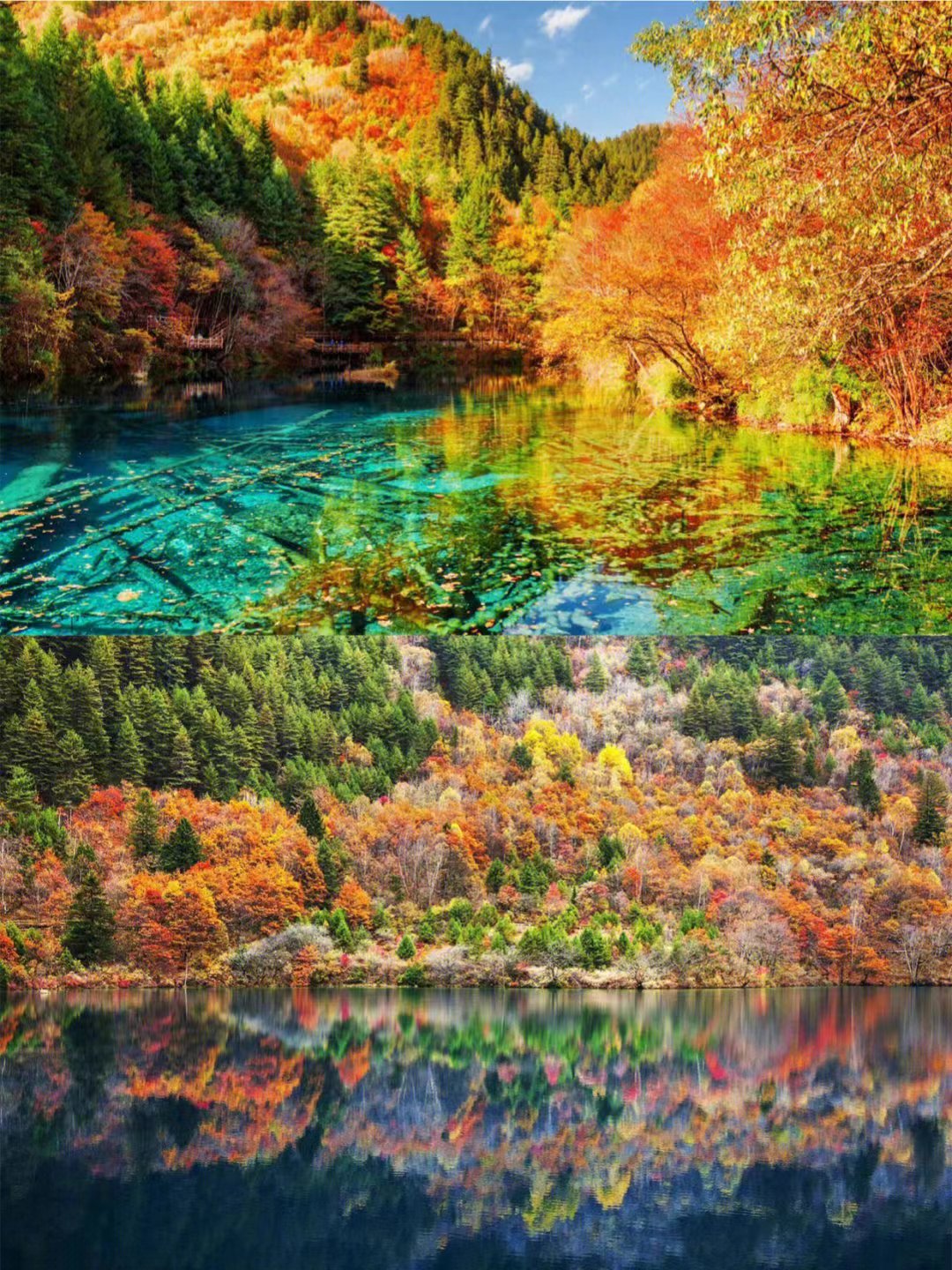 川西|最美秋色在哪里？川西赏秋目的地盘点