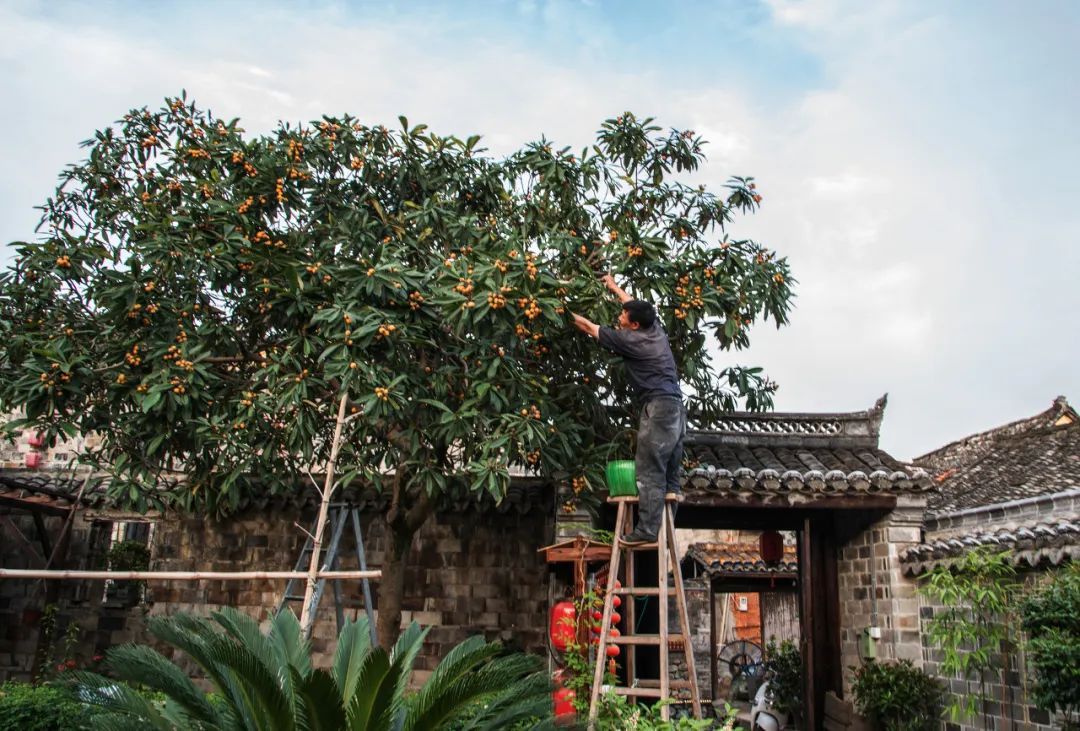 宁波|12次获评“中国最具幸福感城市”的宁波人，到底有多厉害？